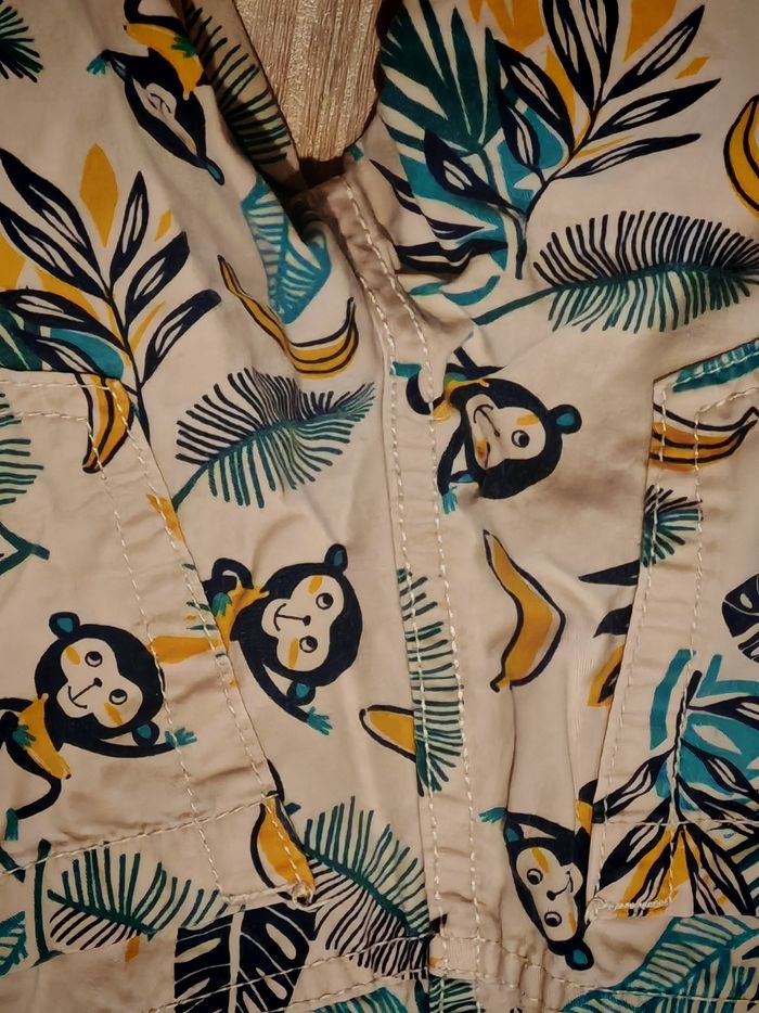 Short singe - photo numéro 4