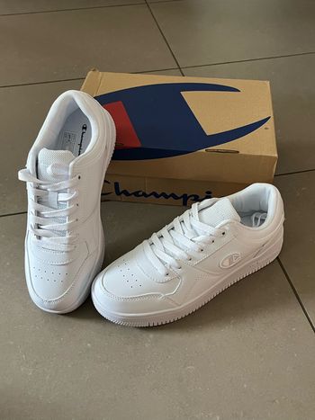 Baskets champion rebound low 40 neuves