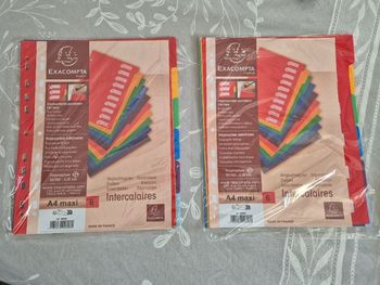 Intercalaires Exacompta