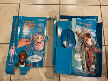 Jeu explore le corps humain