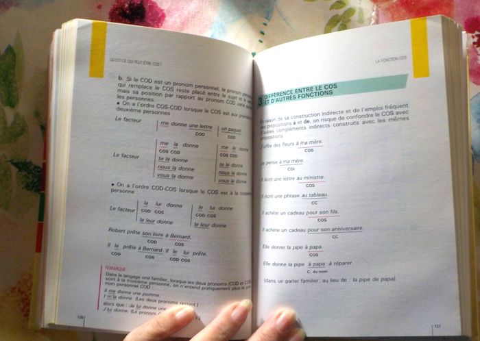 BESCHERELLE LA CONJUGAISON L'ORTHOGRAPHE LA GRAMMAIRE - photo numéro 10