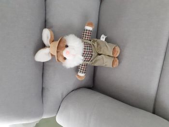 peluche