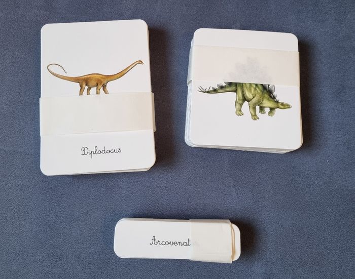 Coffret montessori dinosaures - photo numéro 8