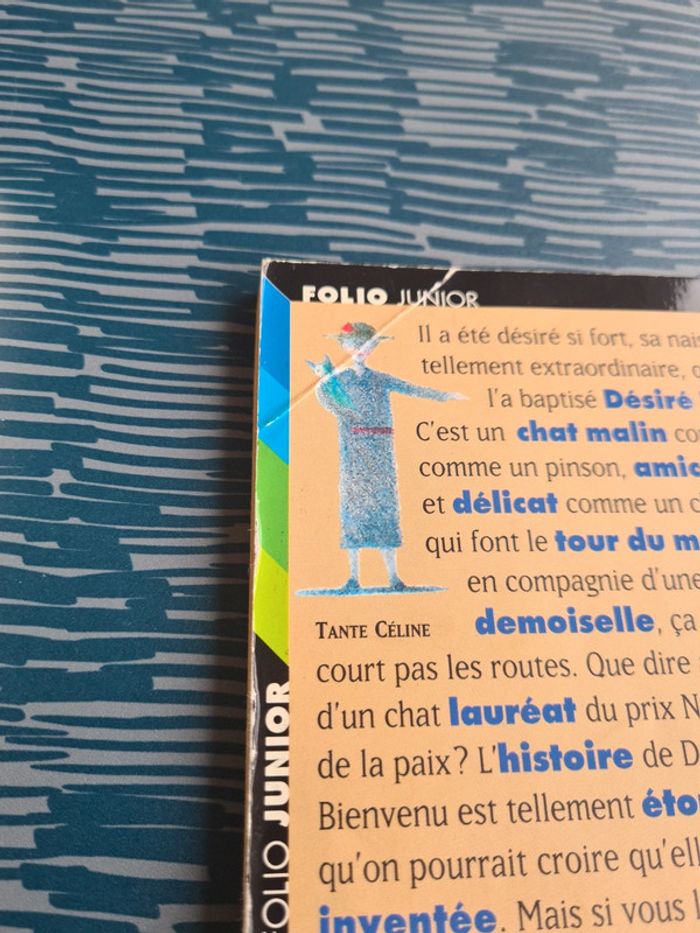 Romans jeunesse - photo numéro 7