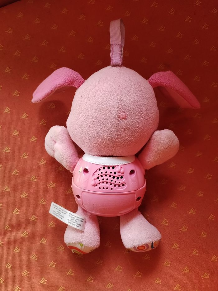 chant'toutout rose - photo numéro 2