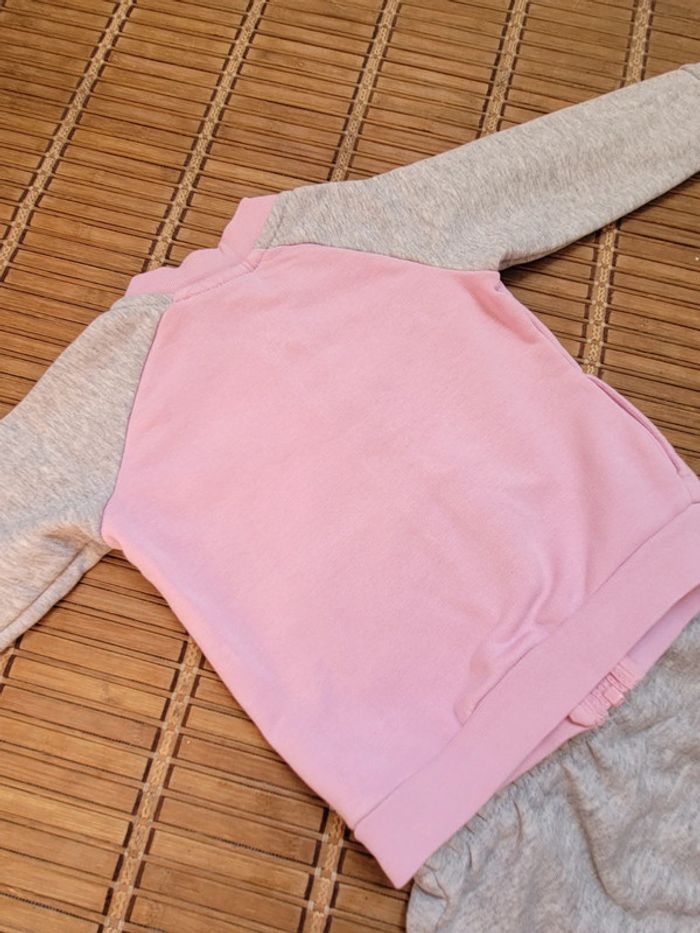 Ensemble puma - photo numéro 2