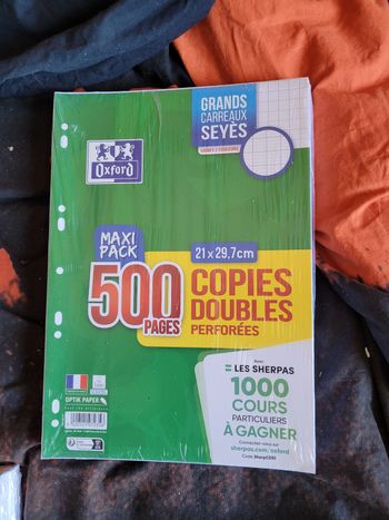 500 pages copies doubles perforées Oxford 21 x 29.7 cm grands carreaux seyes