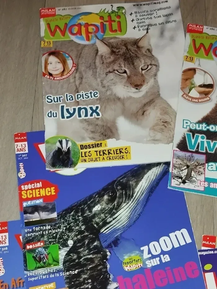 Lot de 7 magazines Wapiti année 2010-11-12-13 L028 - photo numéro 7