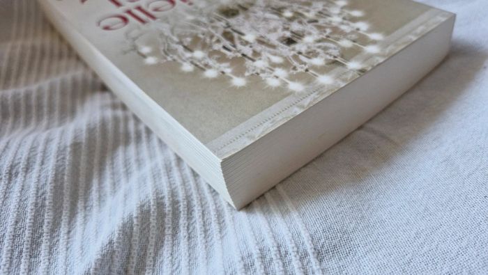 Plus que parfait de Danielle Steel - photo numéro 6