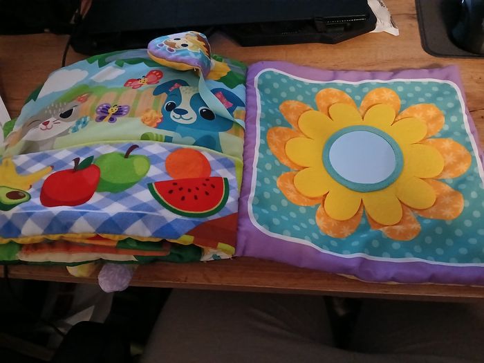 GRAND LIVRE TOUDOUX DES DECOUVERTES VTECH - photo numéro 3