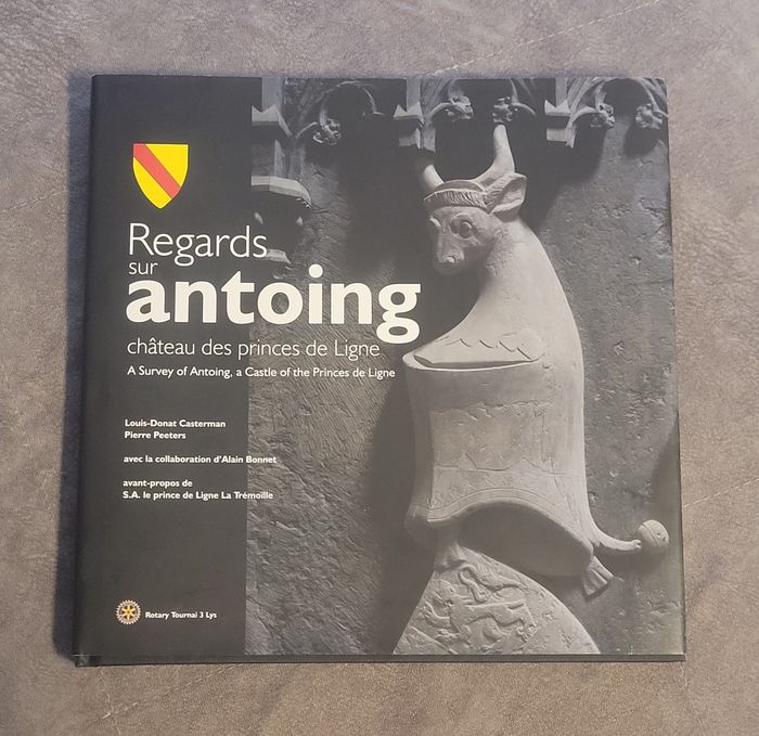 Regards sur Antoing château des princes de Ligne A survey of Antoing, a castle of the Princes de Lig
