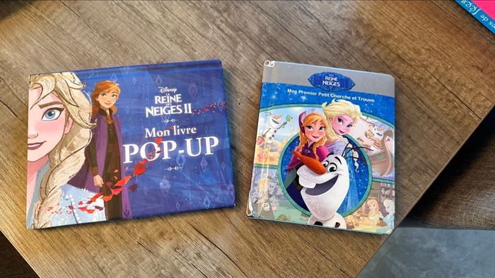 Lot de 2 livres La Reine des Neiges