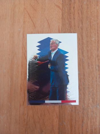 Carte Argent 17 France FFF Fiers d'être bleus Panini Family Carrefour