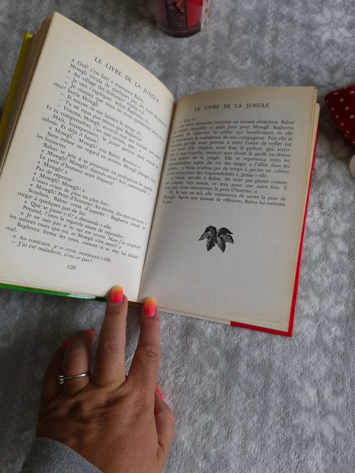 Livre "Le livre de la jungle" ancienne collection Walt Disney - photo numéro 3