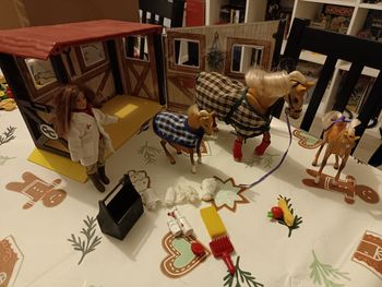 Grand champion - Box Vétérinaire 