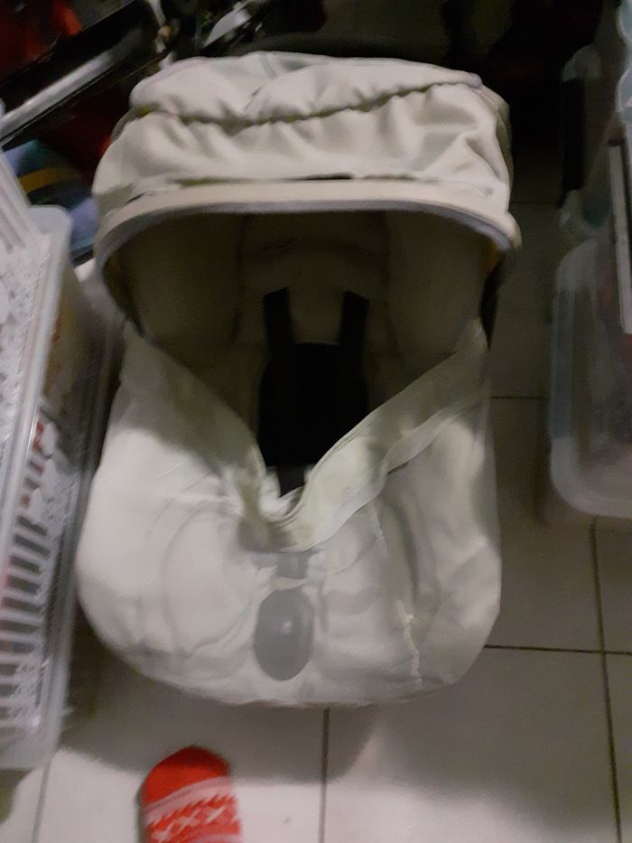 Coque - photo numéro 3