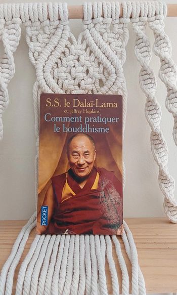 Livre Comment pratiquer le bouddhisme S.S le Dalaï-lama et Jeffrey Hopkins