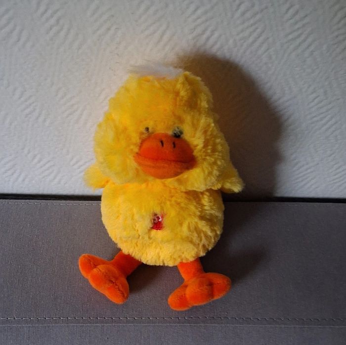 Poussin avec bruitage - photo numéro 2