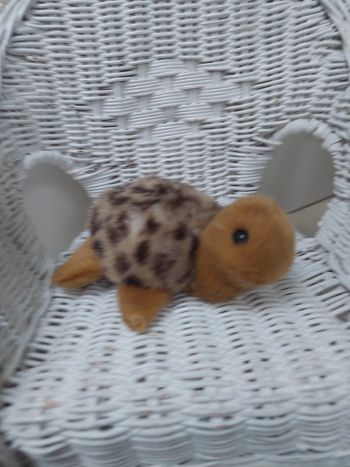 Aux nations - petite peluche tortue