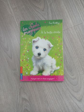 Livre Les chiots magiques Tome 6 en bon état