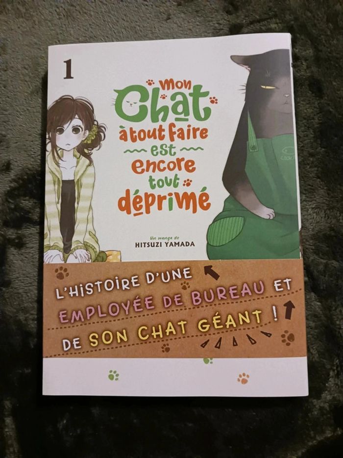 Manga "Mon chat a tout faire est encore déprimé" T1/2 - photo numéro 2