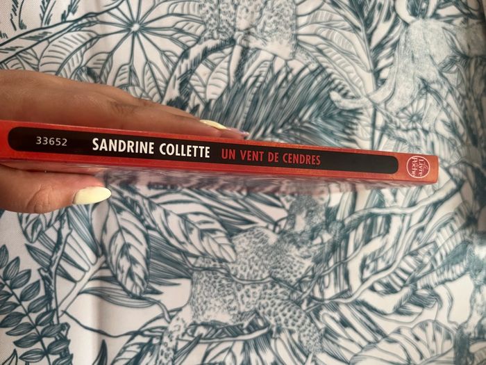 Un vent de cendre - Sandrine Collette - photo numéro 3