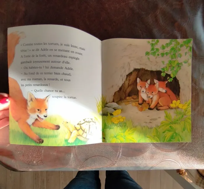 Livre pour enfant - photo numéro 3