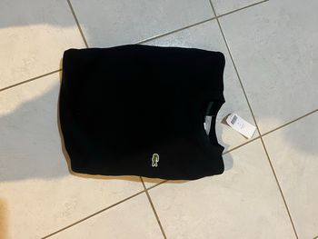 Pull Lacoste 