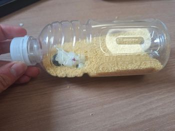 Bouteille sensorielle moto