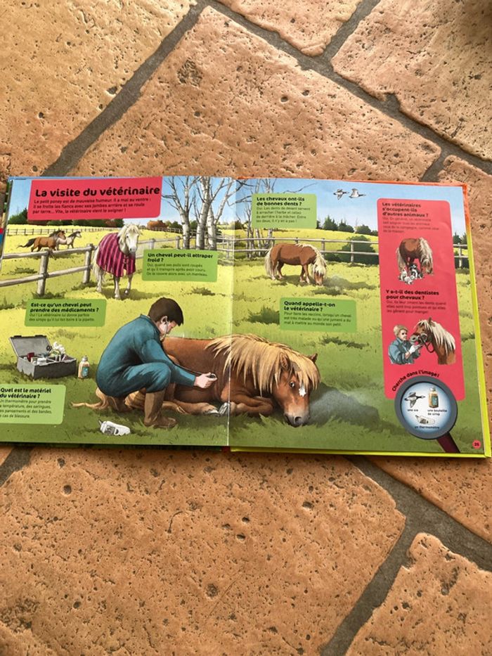 Livre chevaux et poneys - photo numéro 3