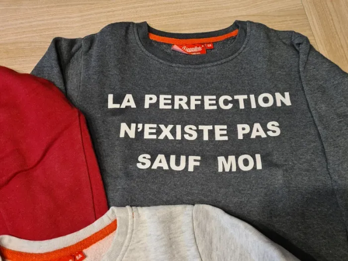 Lot sweat - photo numéro 3