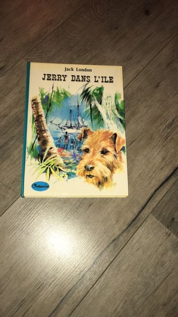 Livre Jerry dans l île Jack London