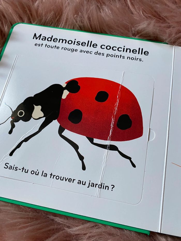 Les petites bêtes 🌸 - photo numéro 2