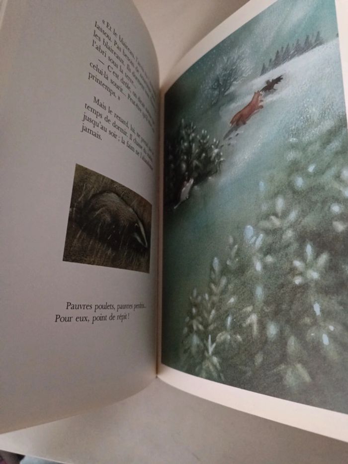 Livre enfant les secrets de l'hiver Évelyne hasler et Michèle lemieux - photo numéro 5