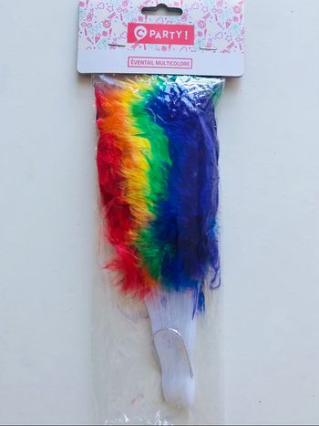 Éventail plumes multicolores 