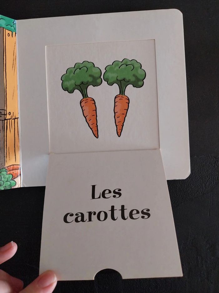 Tchoupi rabats - photo numéro 3