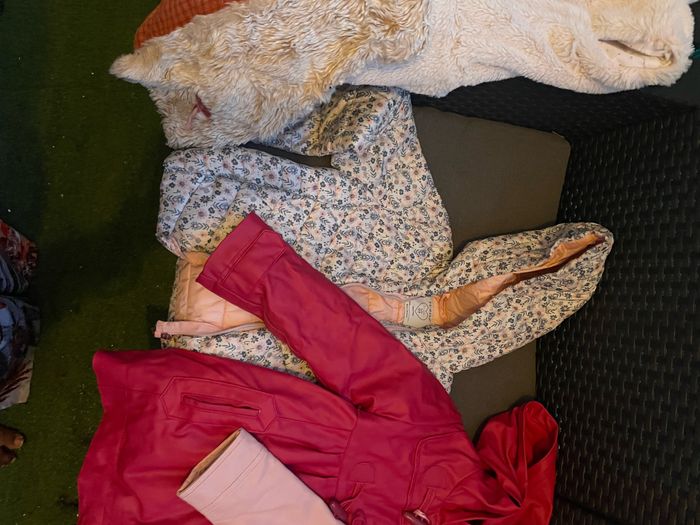 Veste fille (lot)