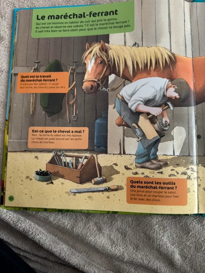 Poneys et chevaux, questions réponses - photo numéro 3