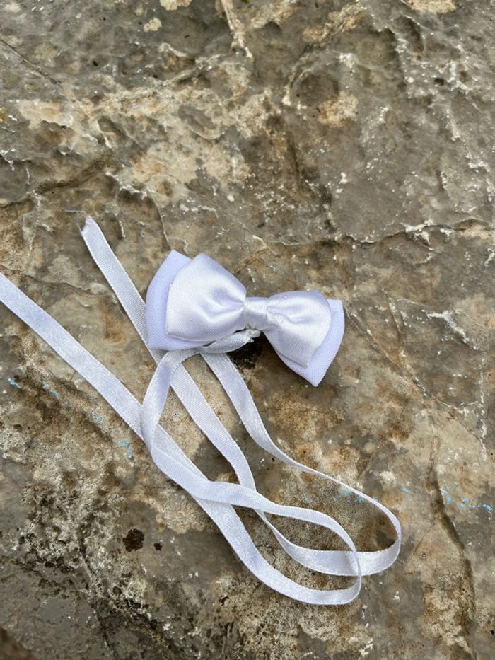 Ensemble - photo numéro 7