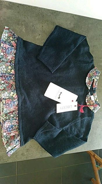 Pull Cyrillus 9 mois liberty