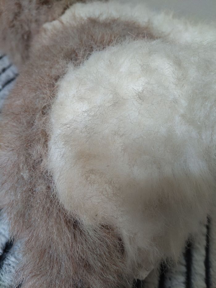 Peluche chien - photo numéro 4