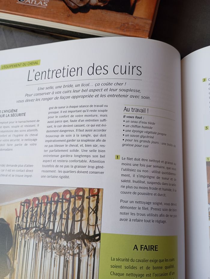 L'équitation les techniques de base - photo numéro 6