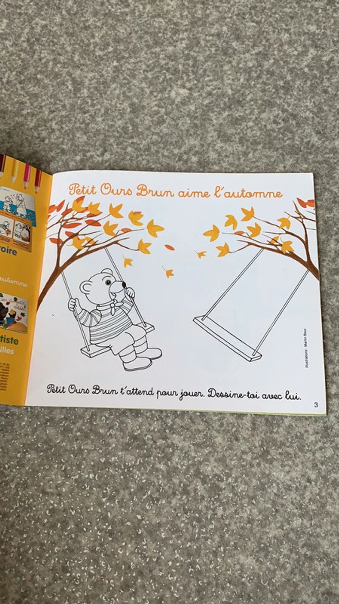 Album coloriage petit ours brun - photo numéro 3