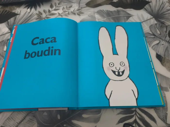 Album école des loisirs caca boudin - photo numéro 3