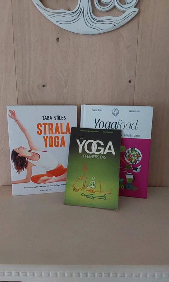 Lot 3 livres sur le Yoga  Strala Yoga Rebel Yoga Food Le yoga 1er pas - photo numéro 2