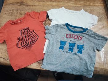Lot 3 tee shirt 24 mois