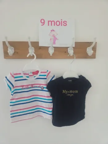 Lot 2 tee-shirts 9m