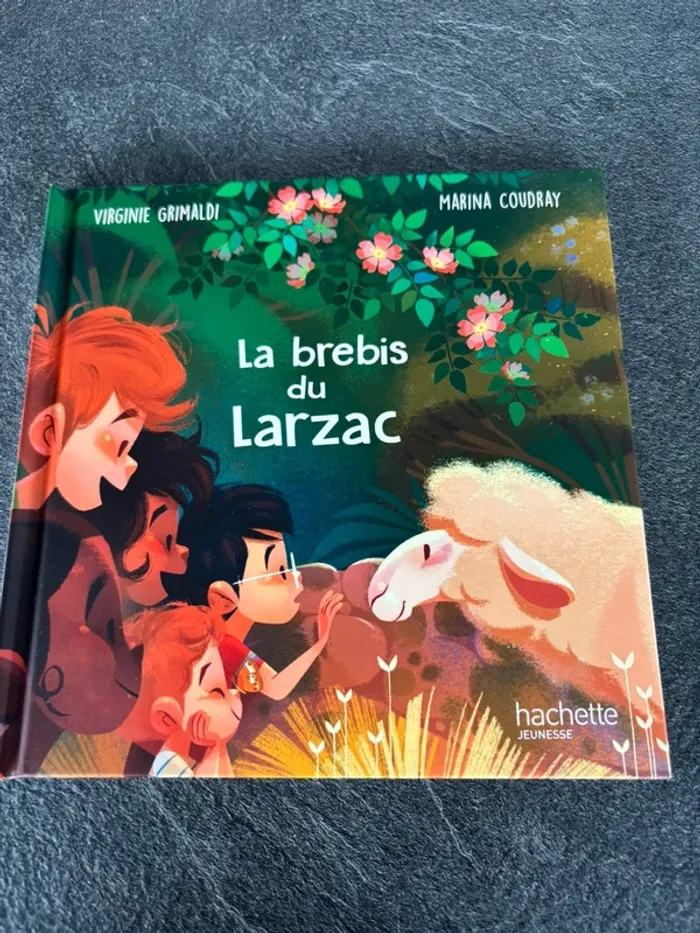 Livres - photo numéro 13