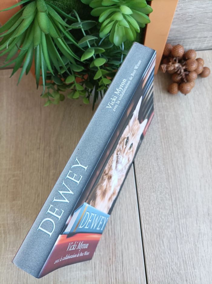 Livre Dewey Vicki Myron - photo numéro 4