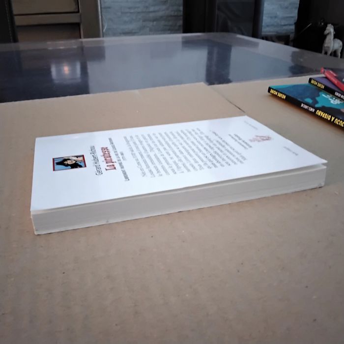 La piratesse Gérard Hubert-Richou - photo numéro 3